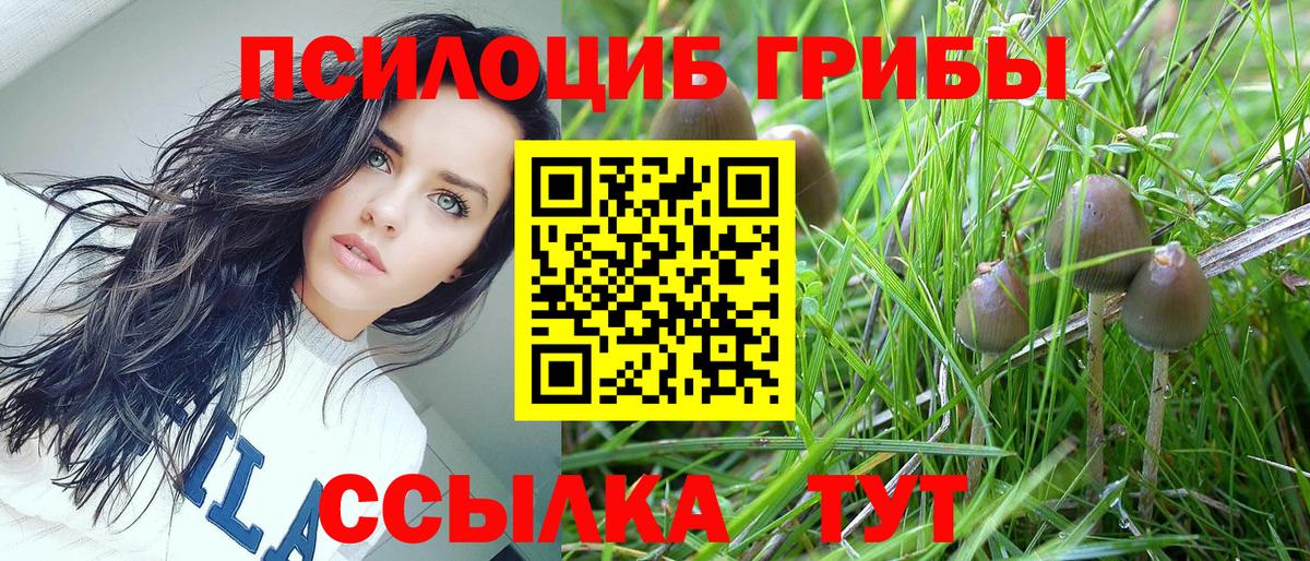 Павлово  Галлюциногенные грибы мицелий  Вход с VPN 